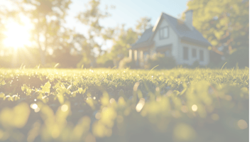 Gartenplanung für Anfänger