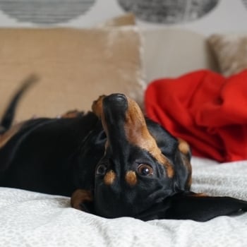 Design ohne Titel (16)