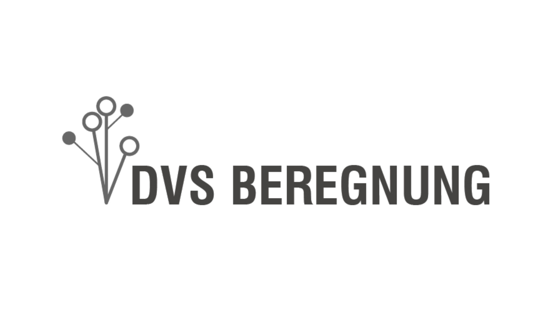 DVS Beregnung